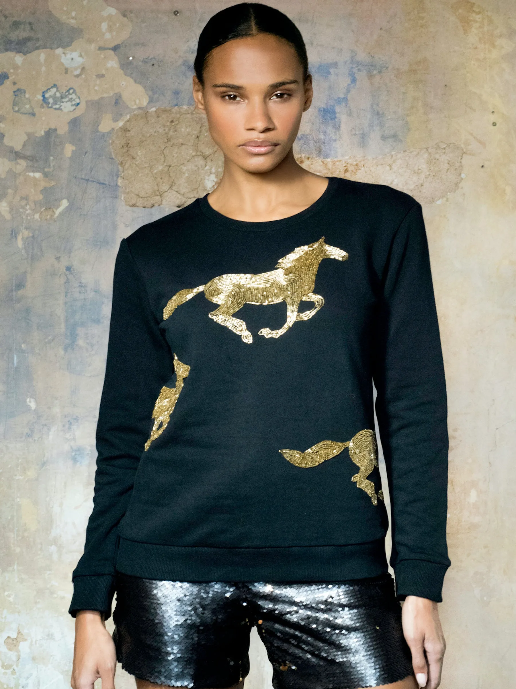Jedes Alte Eisen Pferdchen Pferdchen Sweatshirt