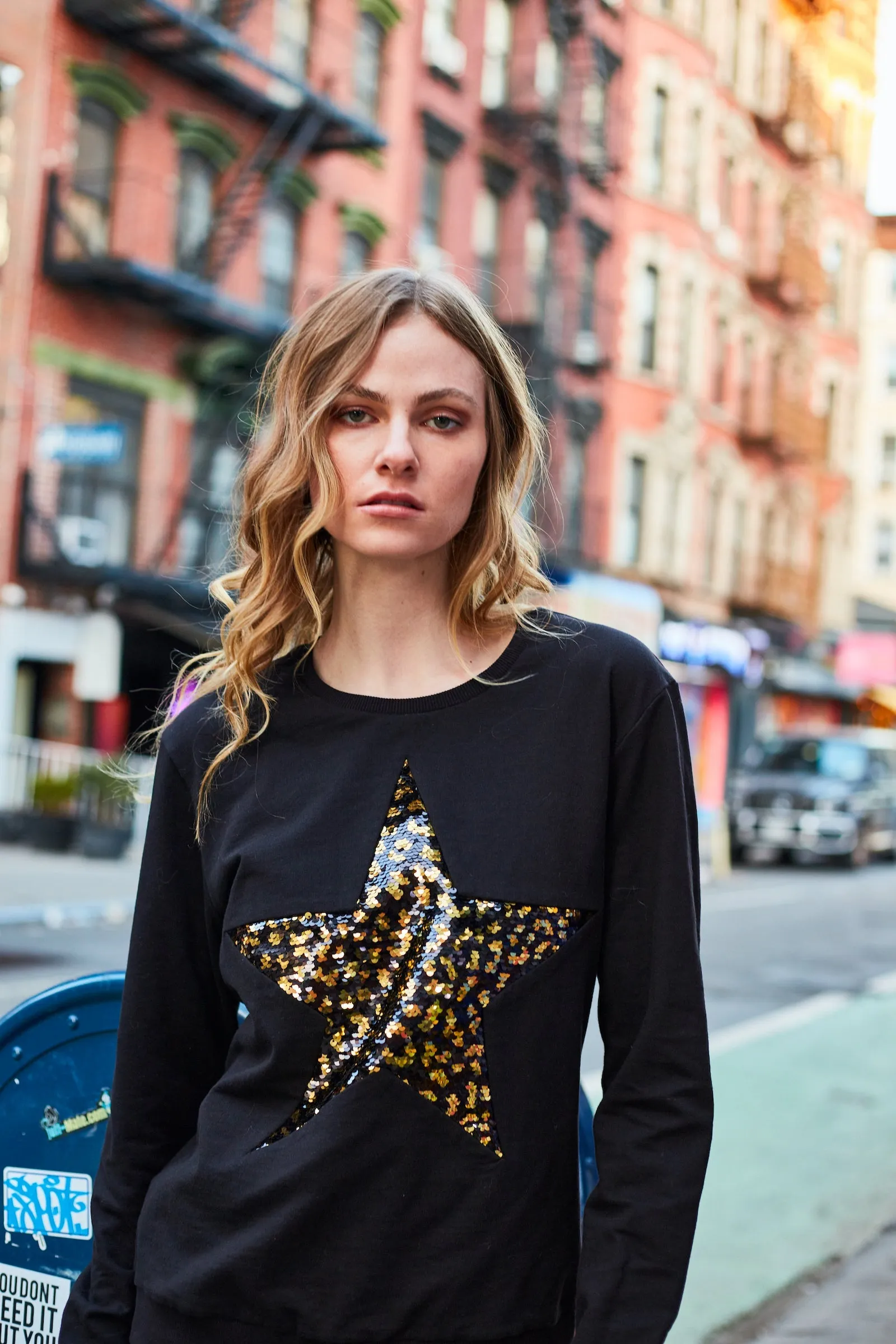 Any Old Iron Damen Leopard Großer Stern Sweatshirt