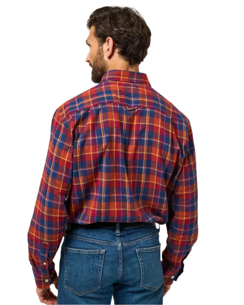 Bekleidung Alan Paine Alan Paine Ilkley Flanell Hemd mit Knopfkragen