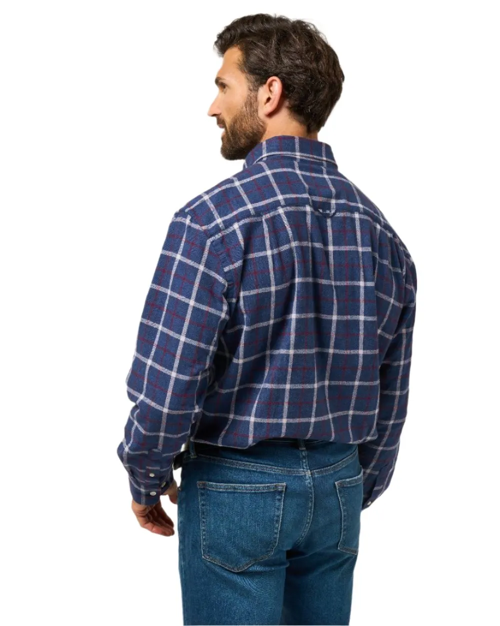 Bekleidung Alan Paine Alan Paine Ilkley Flanell Hemd mit Knopfkragen