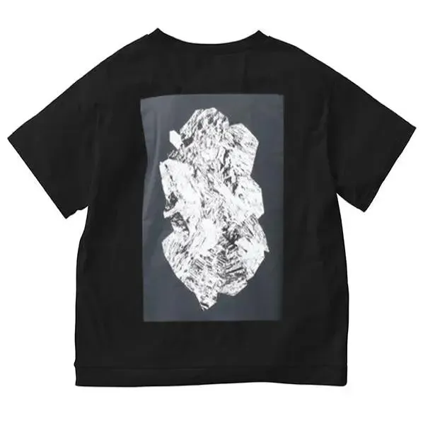 Gramicci Sheltech Rock Print T-Shirt Schwarz